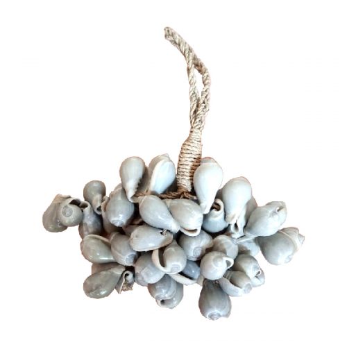 sea shell crafts