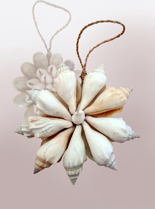 Sea Shells Crafts